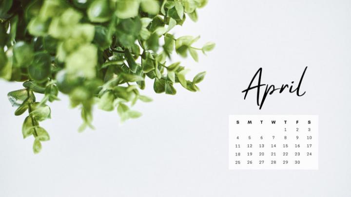 6 gorgeous and free April 2021 desktop backgrounds with calendars!