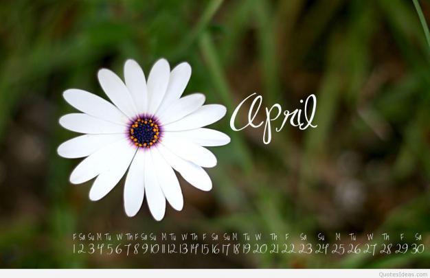 April 2018 Wallpapers