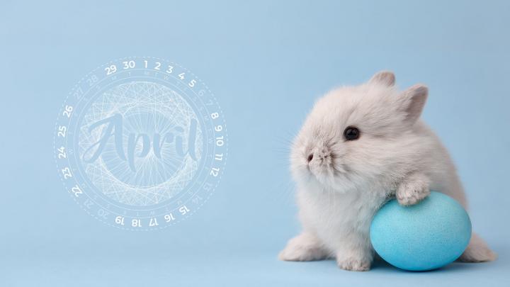 April 2019 Wallpaper - Flicker Leap