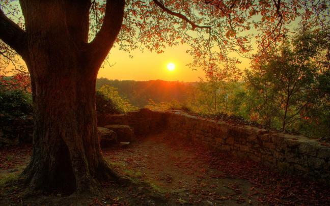 Calming Backgrounds