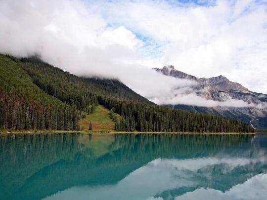 Calming Backgrounds