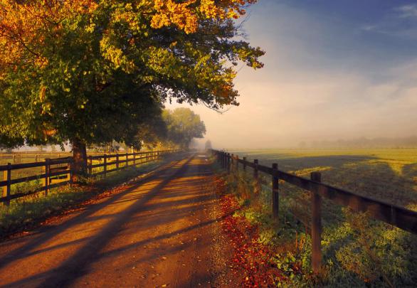 Cute Autumn Free Desktop Wallpaper -