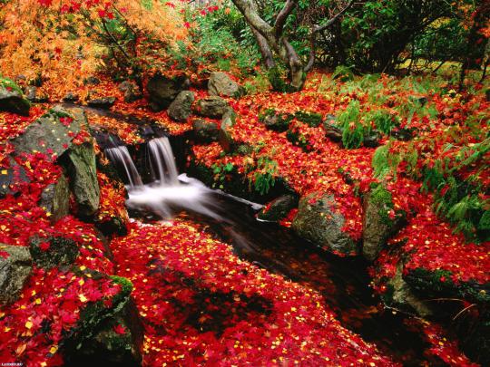Cute Autumn Free Desktop Wallpaper -