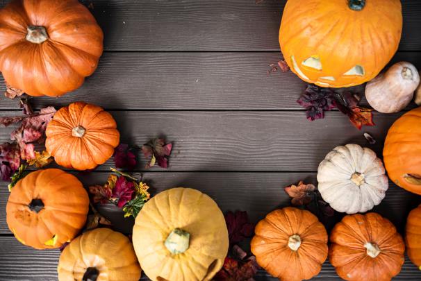 Cute pumpkin desktop wallpaper - High Definition, High Resolution HD 
