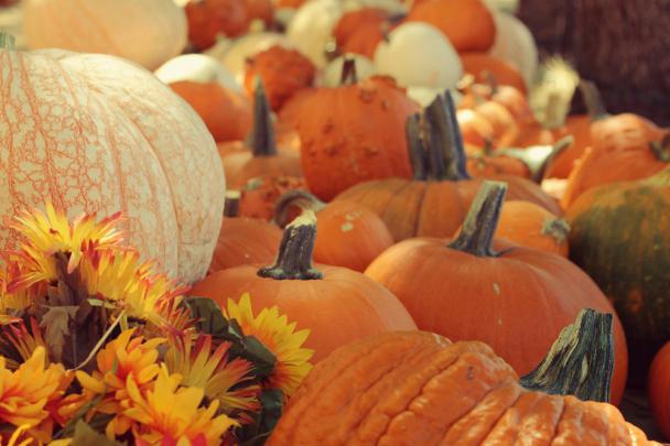 [70+] Cute Fall Wallpaper 