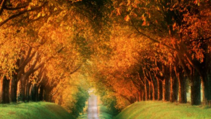 [46+] Cute Fall Wallpaper Backgrounds 