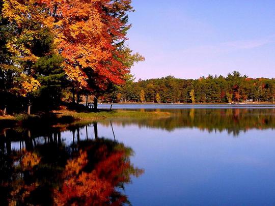 [46+] Cute Fall Wallpaper Backgrounds 