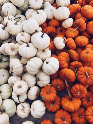Cute pumpkins | Autumn photography, Fall backgrounds iphone, Autumn 