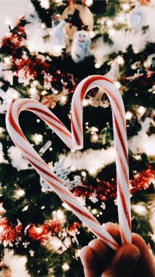 Cute Christmas Tree Pastel Aesthetic Christmas Wallpaper - WallpapersCast