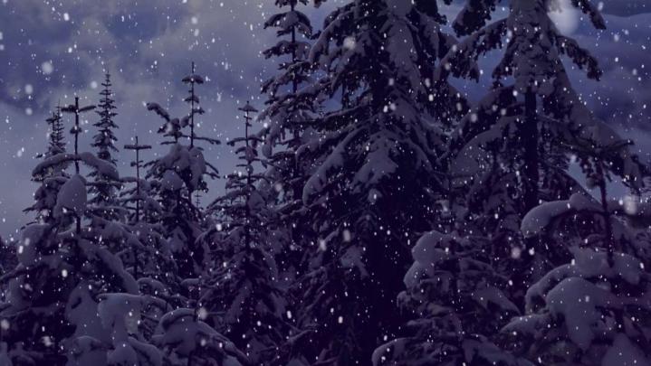 [40+] Christmas Aesthetic Images, HD Photos (1080p), Wallpapers 