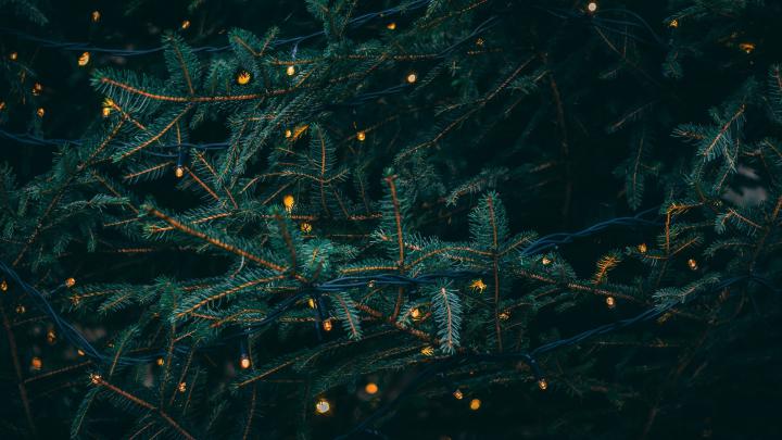 Aesthetic Christmas Wallpapers (28 images) - WallpaperBoat