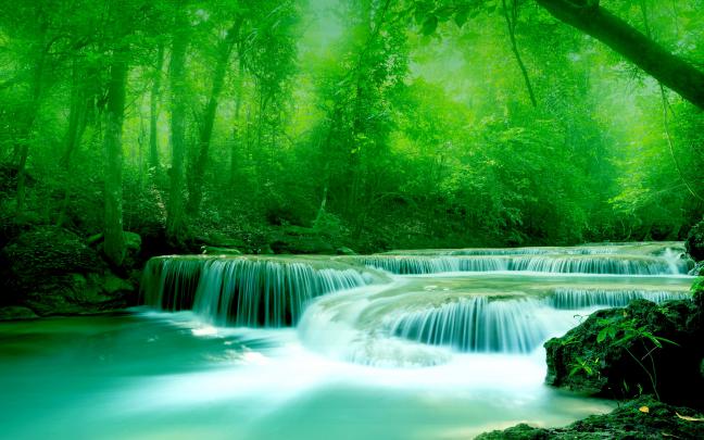 Wallpaper River, Water, Rocks, Trees, Greenery Free Wallpapers Download 