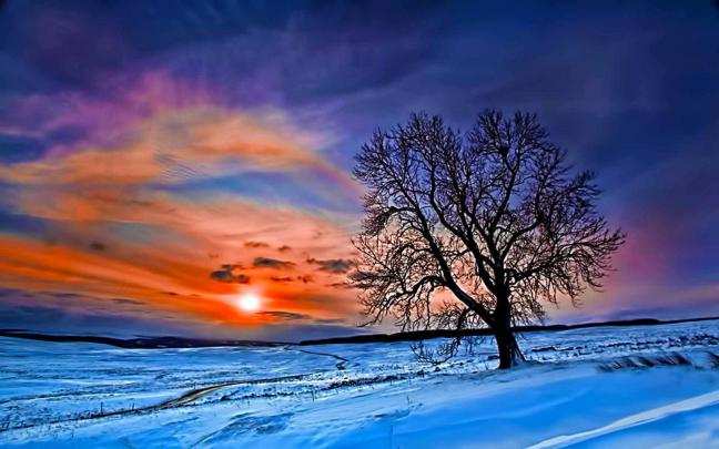 Winter Nature Backgrounds