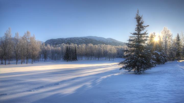 Winter Wonderland wallpaper \u00b7\u2460 Download free stunning wallpapers for 
