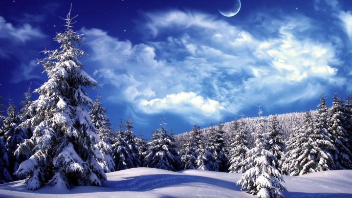 Winter Wallpaper Backgrounds