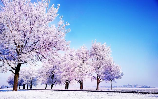 Winter background images \u00b7\u2460 Download free awesome High Resolution 