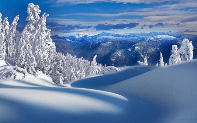 Free Winter Backgrounds Wallpapers