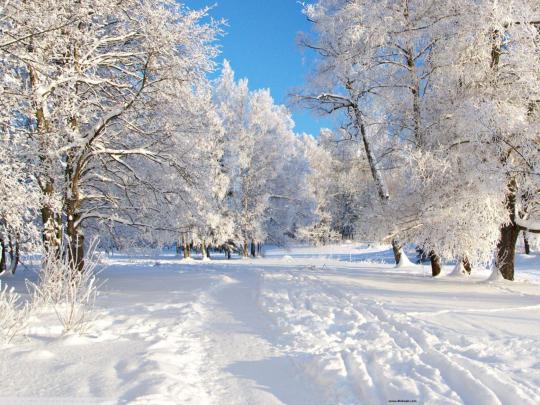Free Desktop Backgrounds Winter