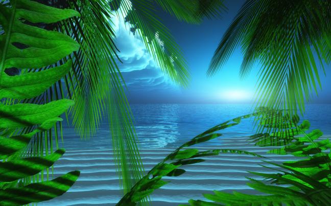 Google Wallpaper and Screensavers (60+ images)