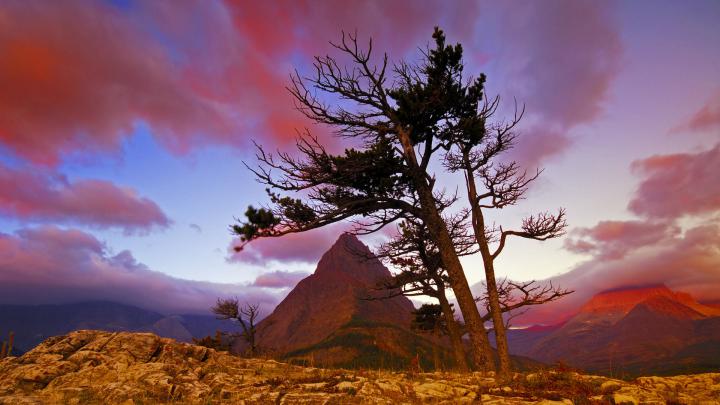 Google Wallpaper and Screensavers (60+ images)