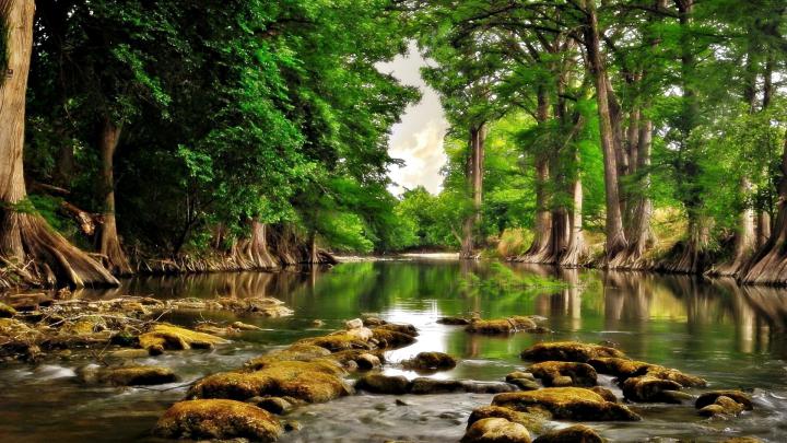 Hd High Resolution Wallpapers Of Nature Hd Desktop - High Resolution 