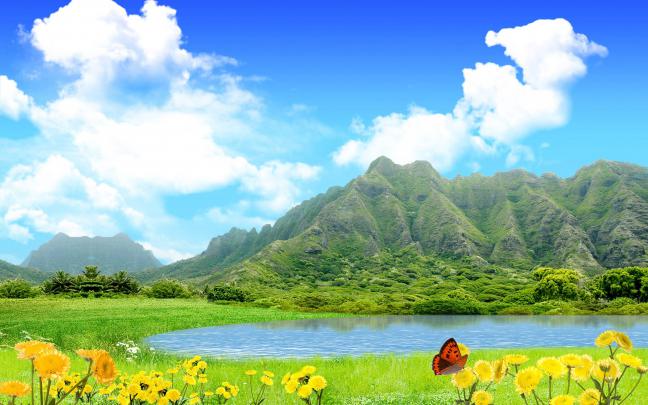 High Resolution Wallpapers 2560x1600