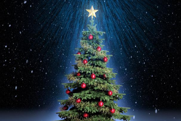 Christmas Tree Wallpapers Images Photos Pictures Backgrounds