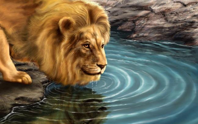 Lion Desktop Backgrounds