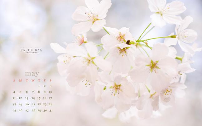 [50+] May Wallpaper for Desktop 