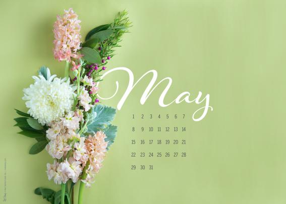 [46+] May 2016 Desktop Wallpaper 