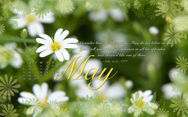 [77+] May Backgrounds For Desktop 