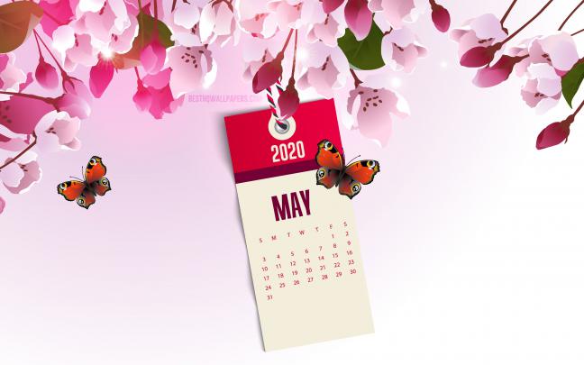 May 2020 Desktop Wallpapers