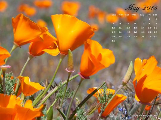 [50+] May Wallpaper for Desktop 