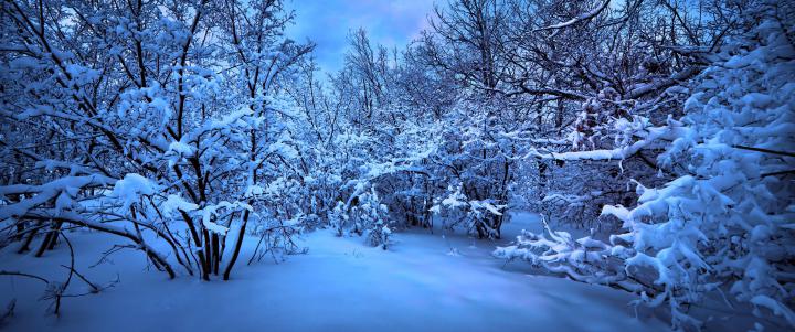 Ultra-Wide Wallpapers 3440X1440 -