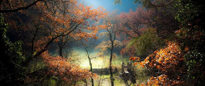 ultra wide, Photography, Nature Wallpapers HD \/ Desktop and Mobile 