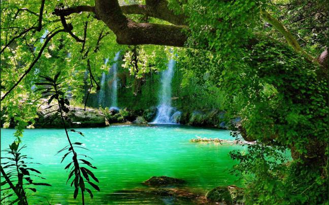 Forest Waterfall Wallpapers