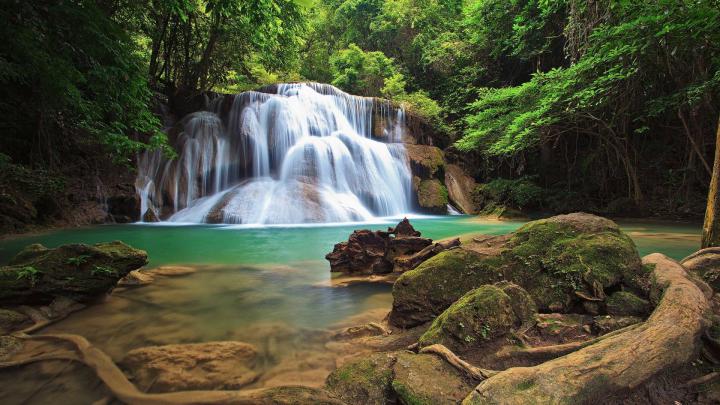 Forest Waterfall Wallpapers