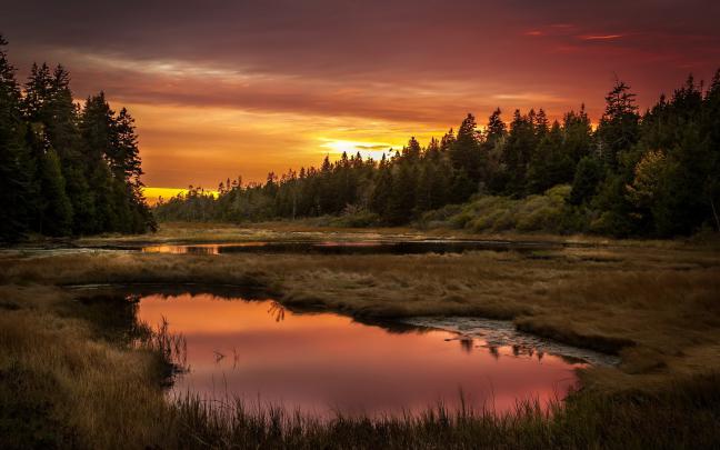 1680x1050 HD Wallpaper \u00b7\u2460 