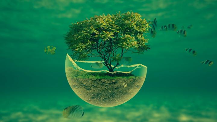 HD Wallpaper Widescreen 1920x1080 \u00b7\u2460 