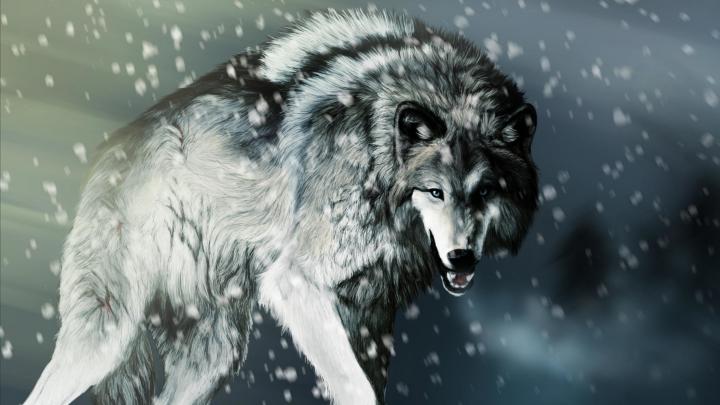 Wolves Desktop Wallpaper \u00b7\u2460 