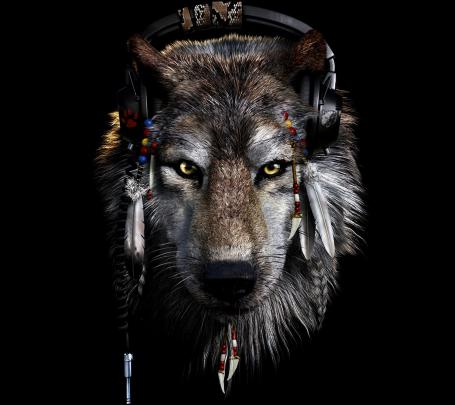 HD Wolf Backgrounds