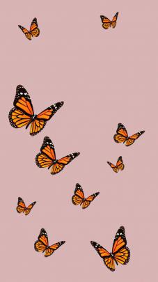 Butterfly Aesthetic Wallpapers