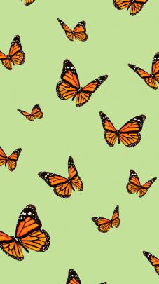 Butterfly Aesthetic Wallpapers