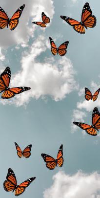 Butterfly ;) in 2020 | Butterfly wallpaper iphone, Iphone wallpaper 