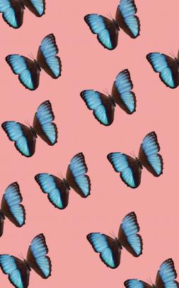 Butterfly Aesthetics Wallpapers