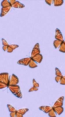 Cute Aesthetic Butterflies Wallpapers