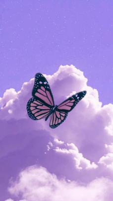 Aesthetic Butterfly Purple Wallpapers