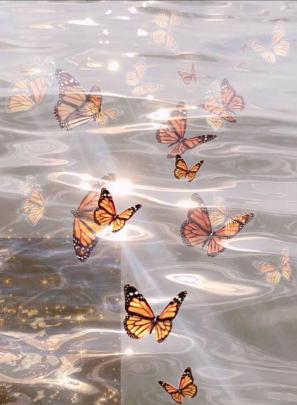 Aesthetic background | Butterfly wallpaper, Butterfly wallpaper iphone 