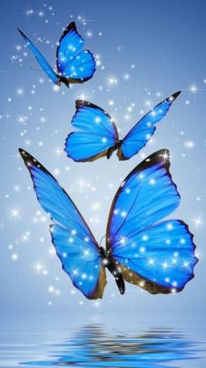 Blue Aesthetic Butterfly Wallpapers