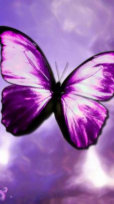 Purple Butterfly Aesthetic Wallpapers